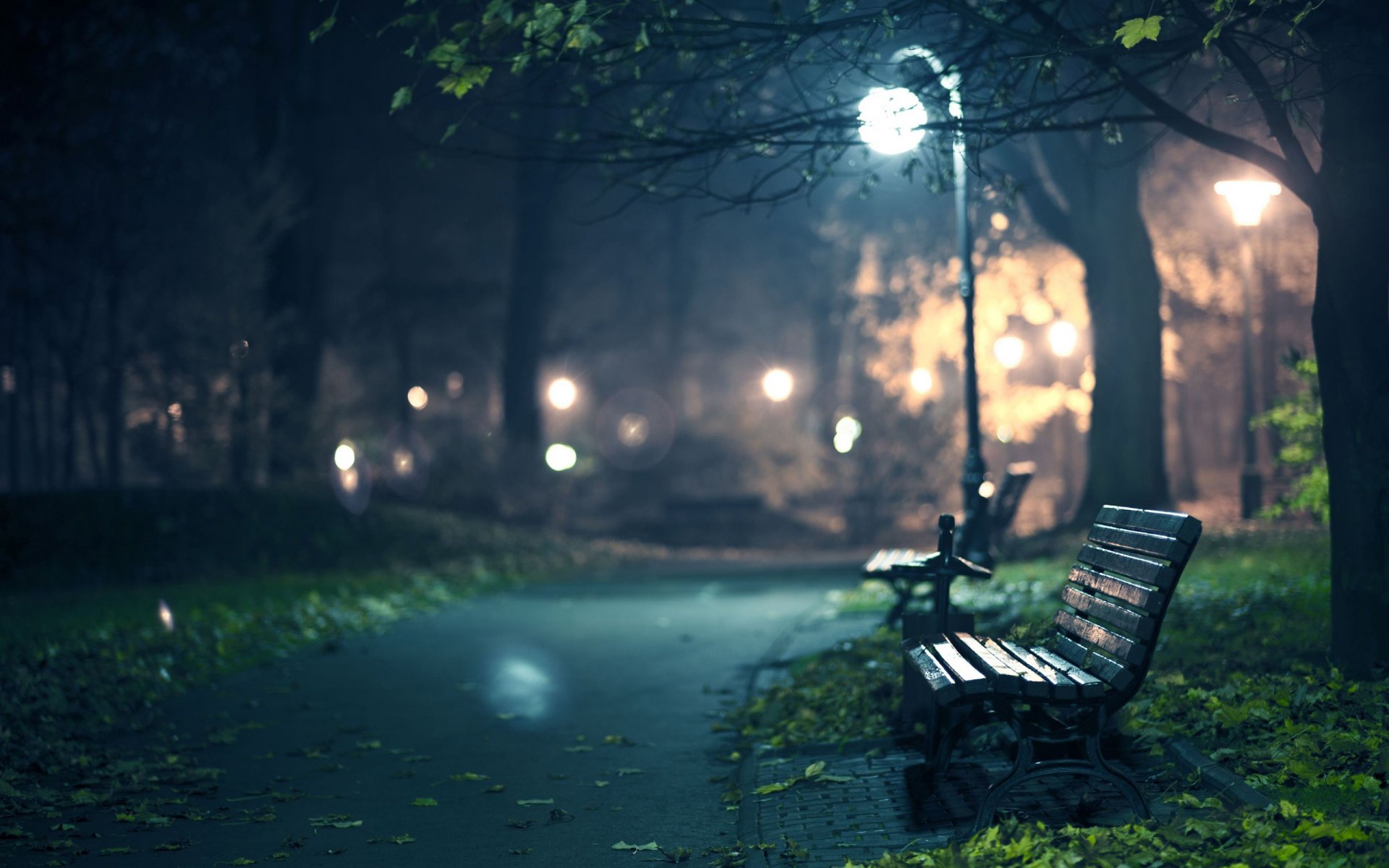 romance evening benches benches bench seats parks night cities path paths walks walk tree trees light lights twilight gloom night twilight lanterns lantern light lights leaves foliage autumn autumn wallpaper falling