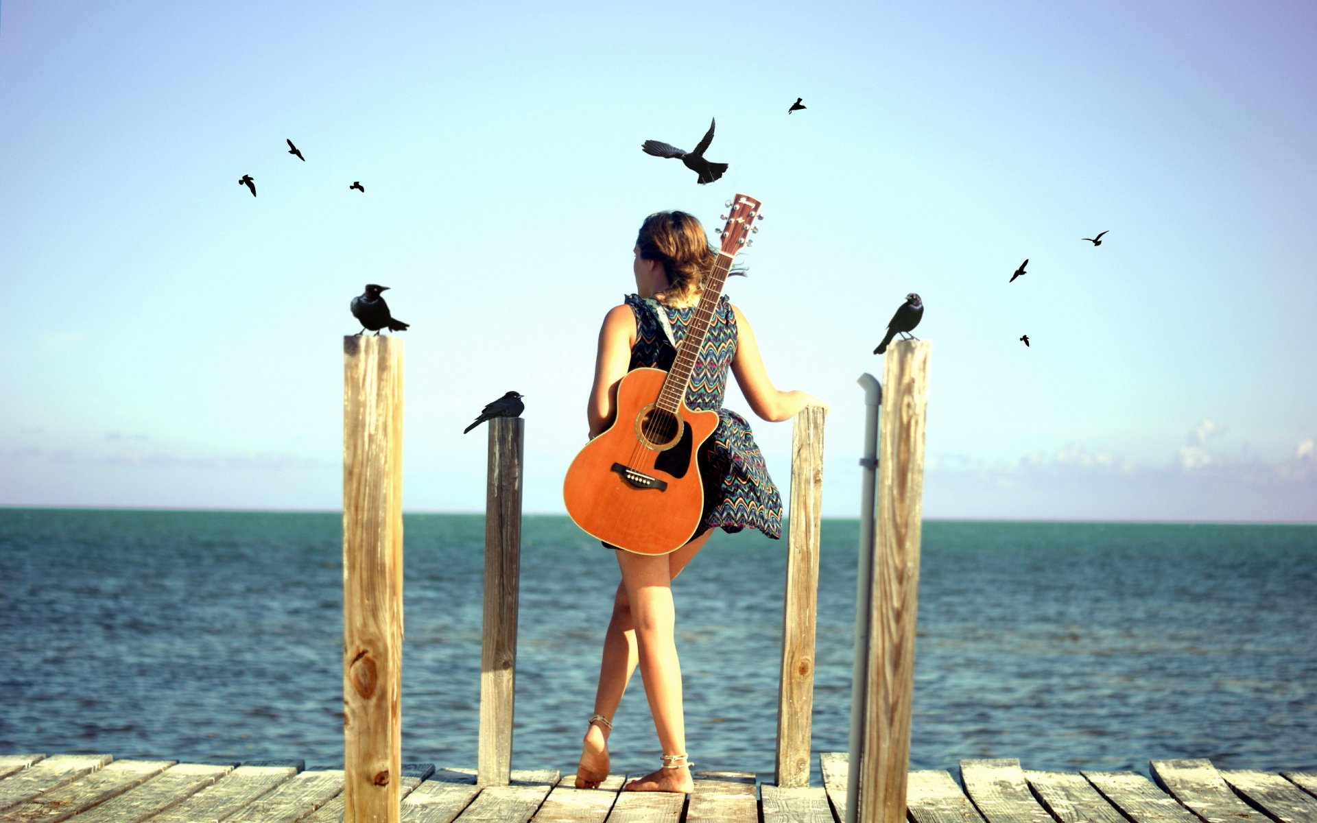 chica guitarra mar aves estado de ánimo