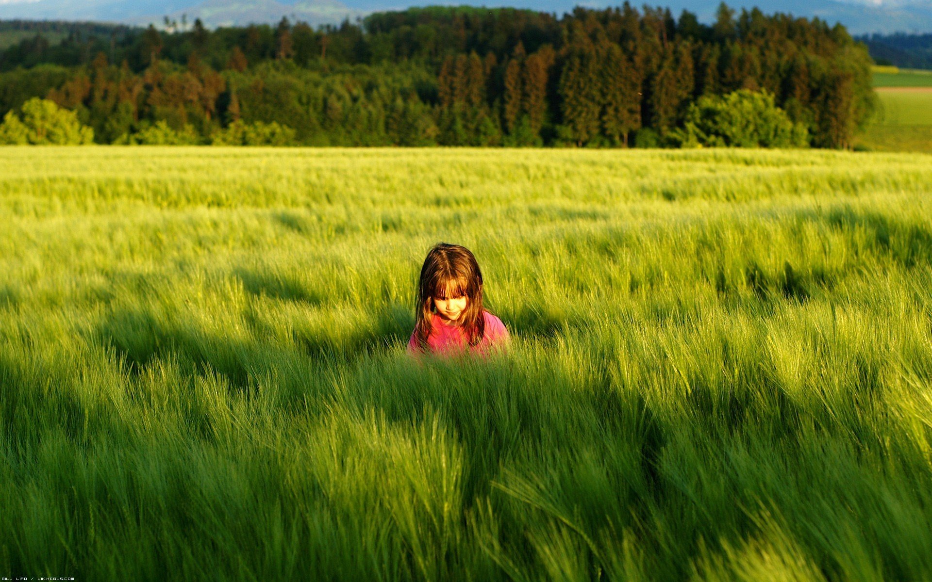 humeurs enfants fille. nature herbe verdure prairie soleil arbres. feuillage ombre fond fond d écran plein écran hd wallpaper