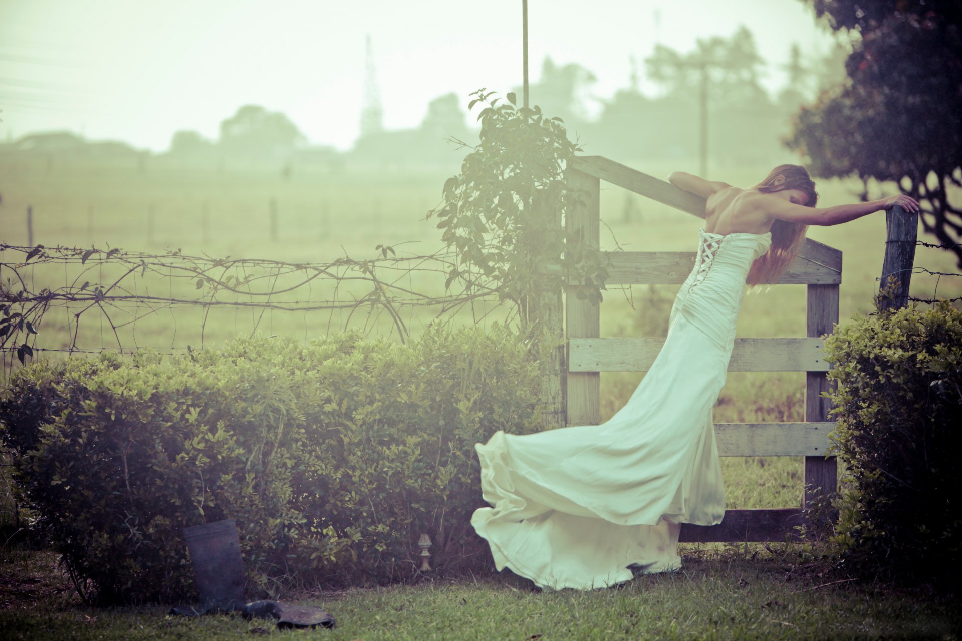 fille robe de mariée mariage mariée mariée clôture nature