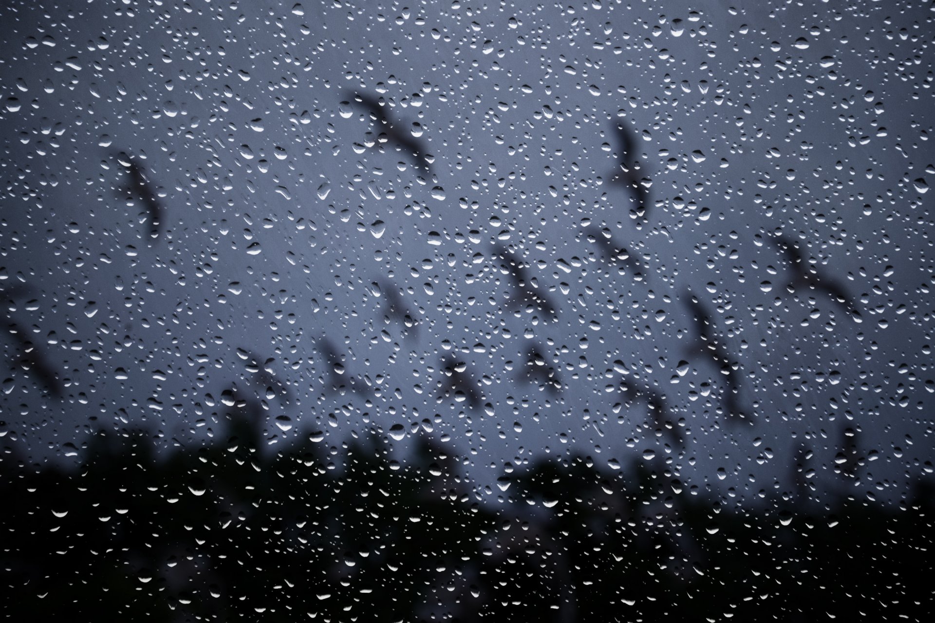 pluie fenêtre verre gouttes nuit gouttes de pluie sur le verre