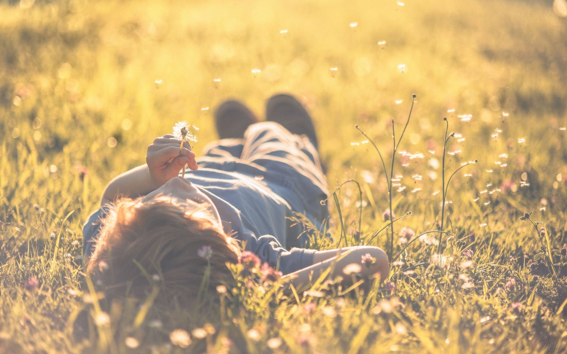 mood boys guy nature grass green meadow dandelion sun background wallpaper hd wallpaper