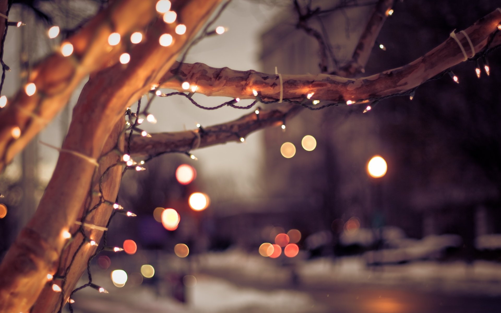 town winter tree bulbs christmas mood lights bokeh