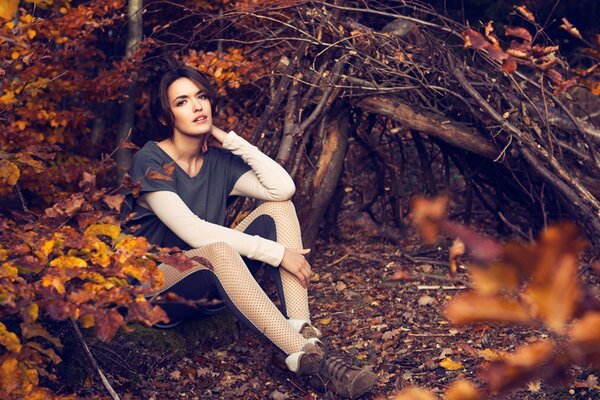 Brunette fille assise dans la forêt d automne