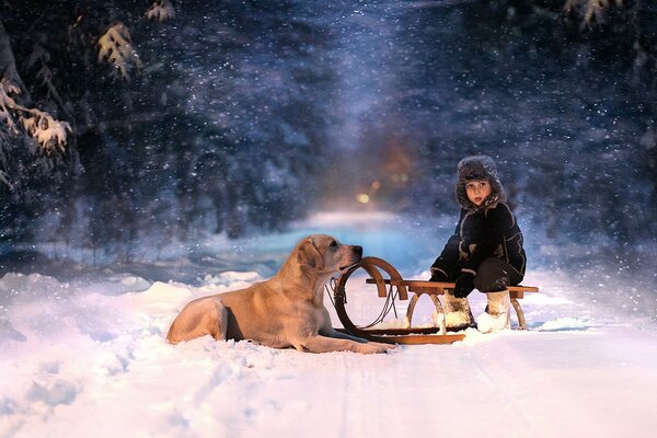 A child on a sled with a dog in the snow