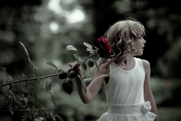 Beautiful girl in a white dress with a long rose