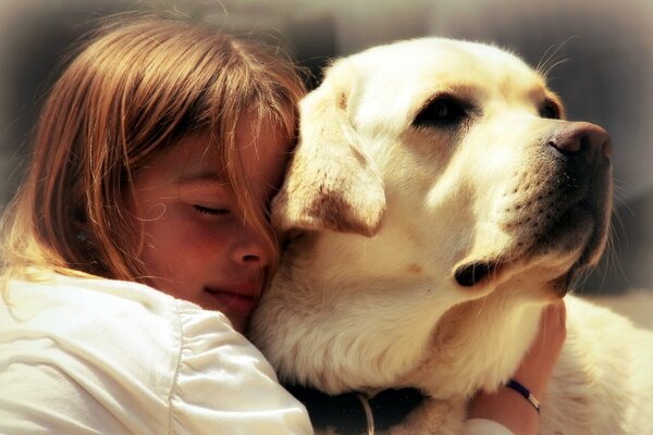 Petite fille étreignant un Labrador blanc