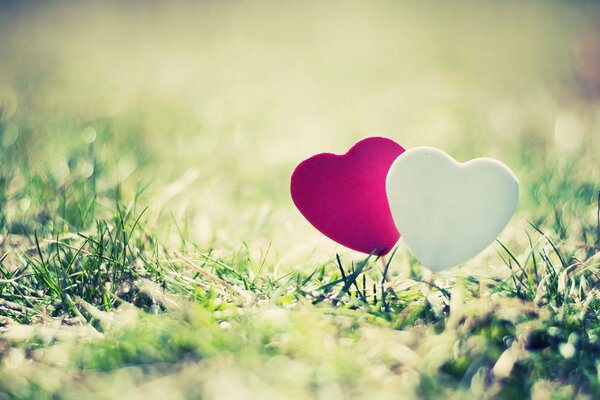 Two multicolored hearts on the background of a sunny meadow