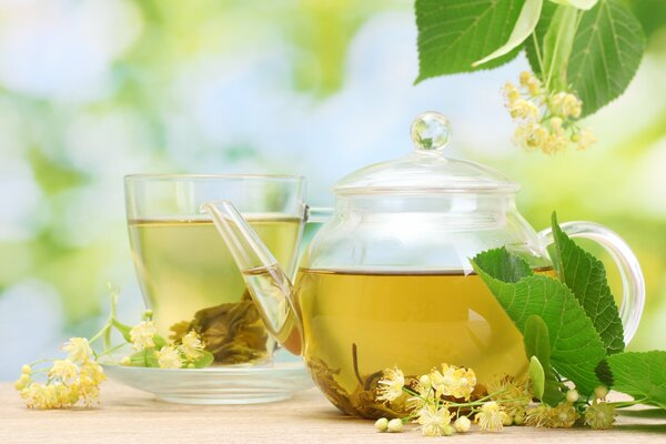 Flores y hojas en un Infusor de té