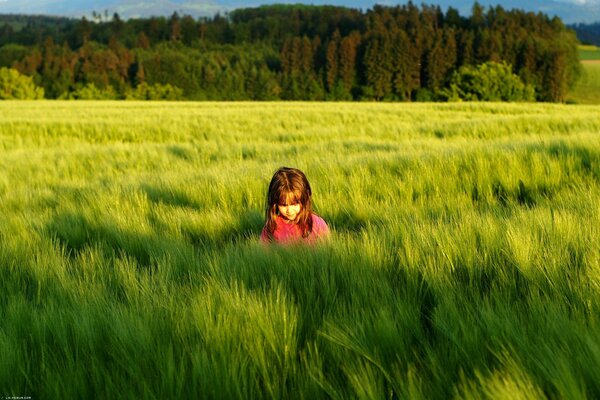 Grüne Stimmung in der Farbe der Wiesen