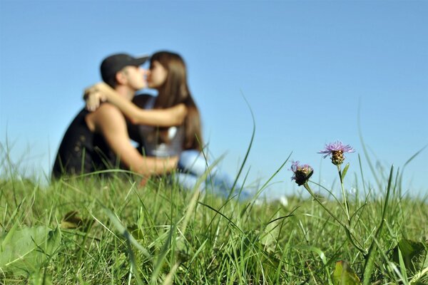 Ein Mädchen und ein Kerl im Gras küssen sich in der Natur