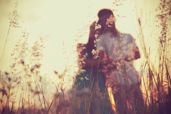 A couple of lovers posing for a photo in a field with cereals against the sun