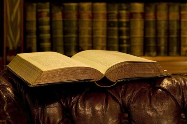 An open book in the library on the sofa