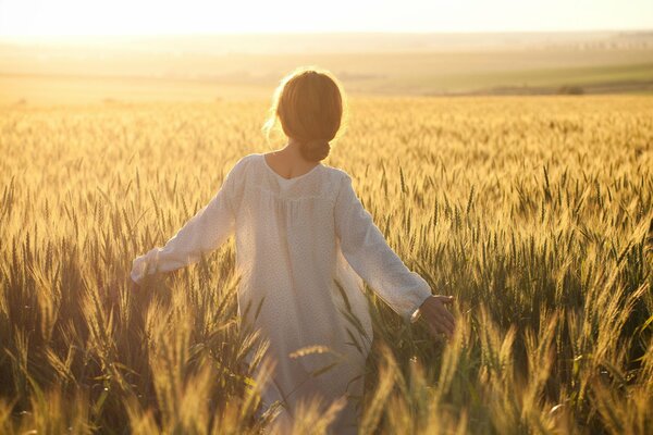 A clear day in a field of wheat