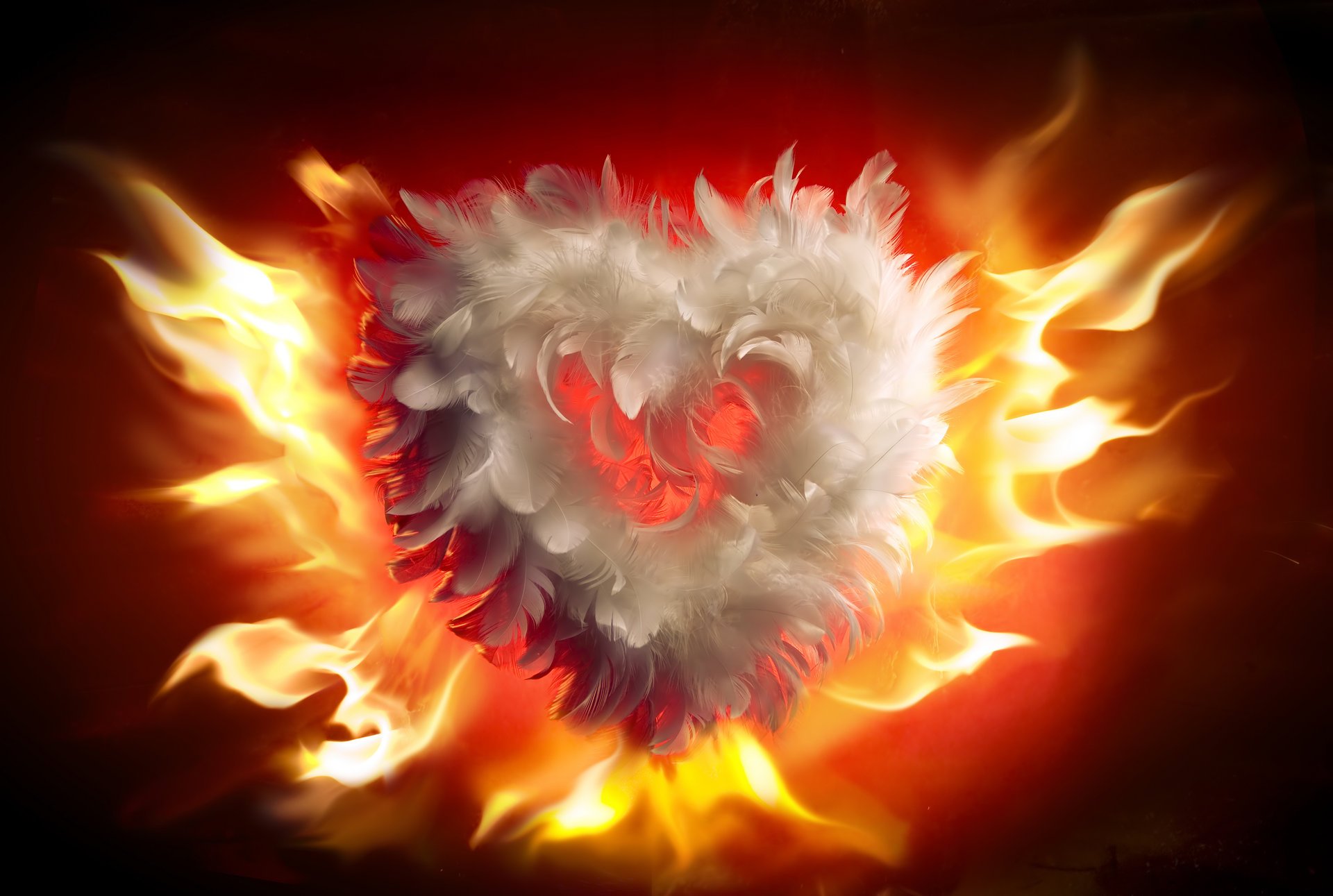 feu flamme amour saint valentin feu coeur