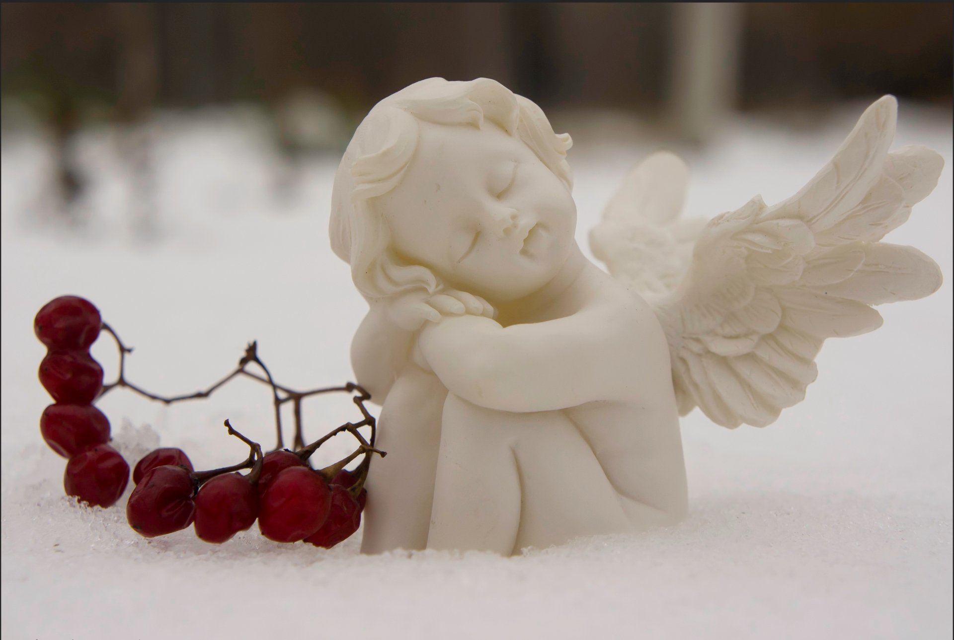 lefortovo park moscow angel sleeping berries snow