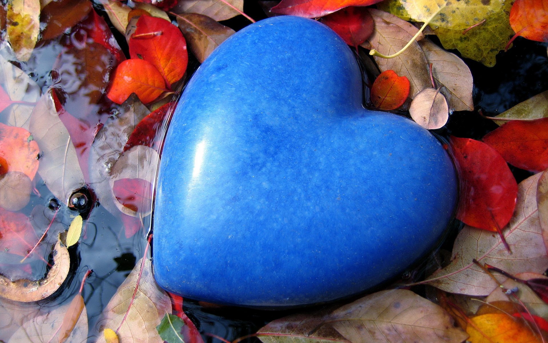 humeur sentiments amour pierre coeur forme bleu bleu couleur flaque d eau eau feuilles