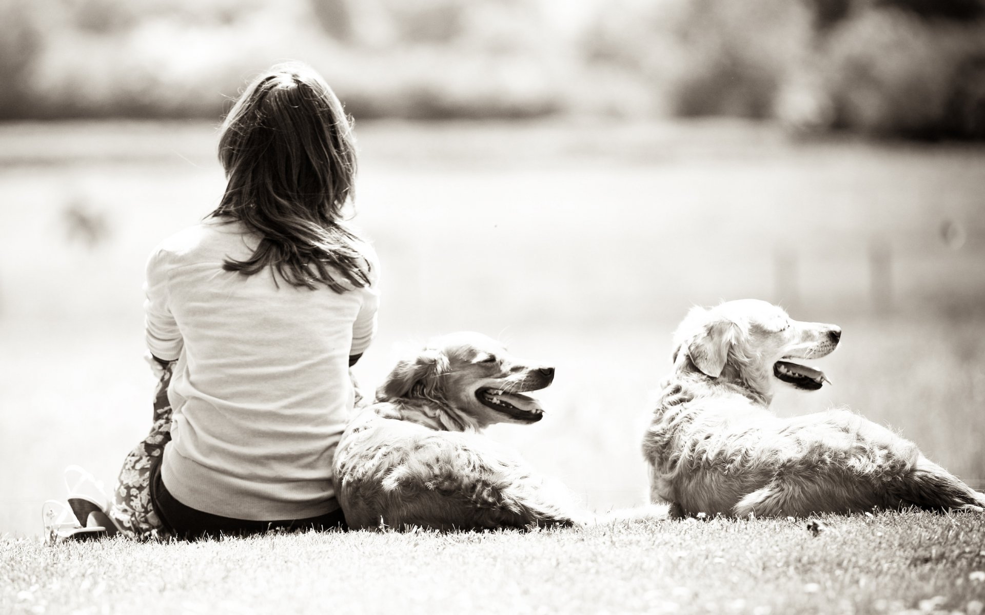 moods girl girl girls brunette dog dogs nature grass black and white distance background desktop wallpaper widescreen wallpaper wallpaper 2560 1600