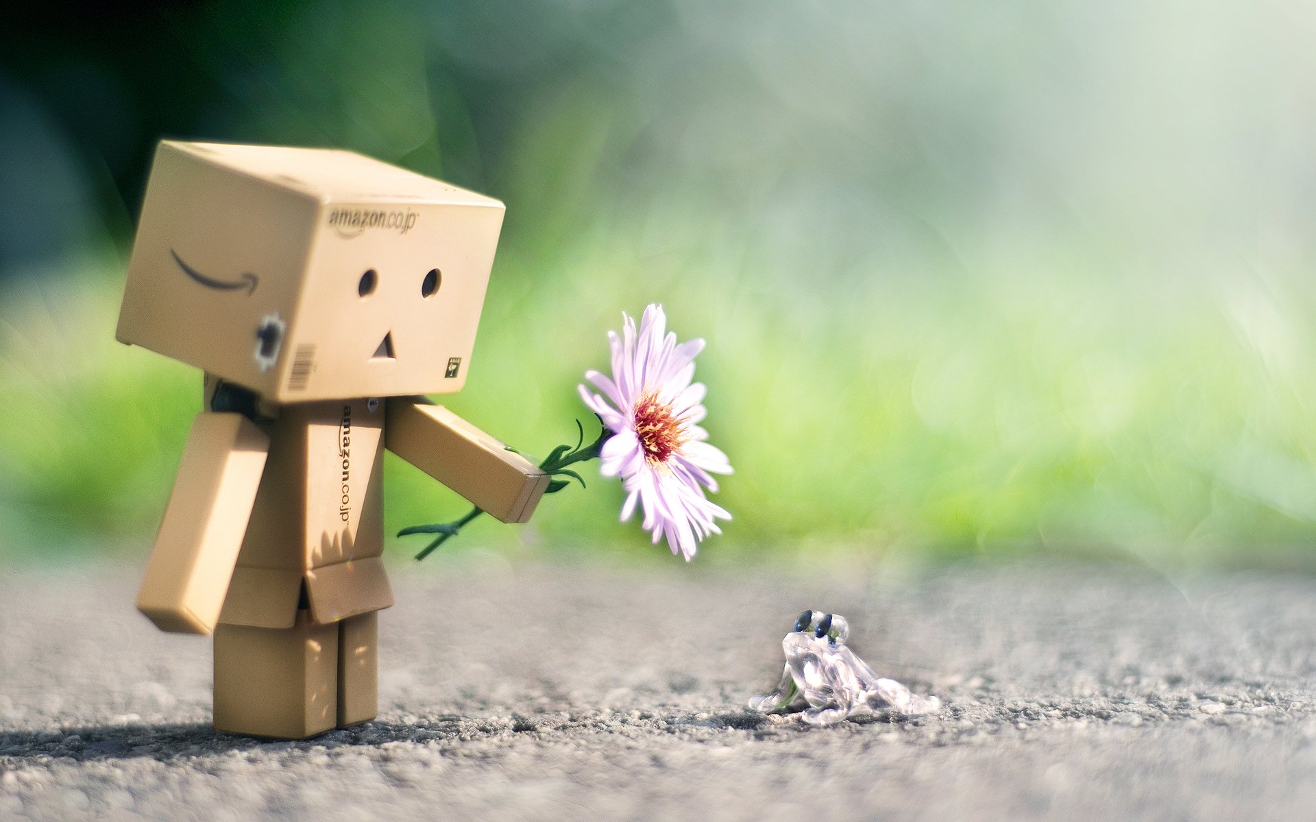 danbo danbo amicizia