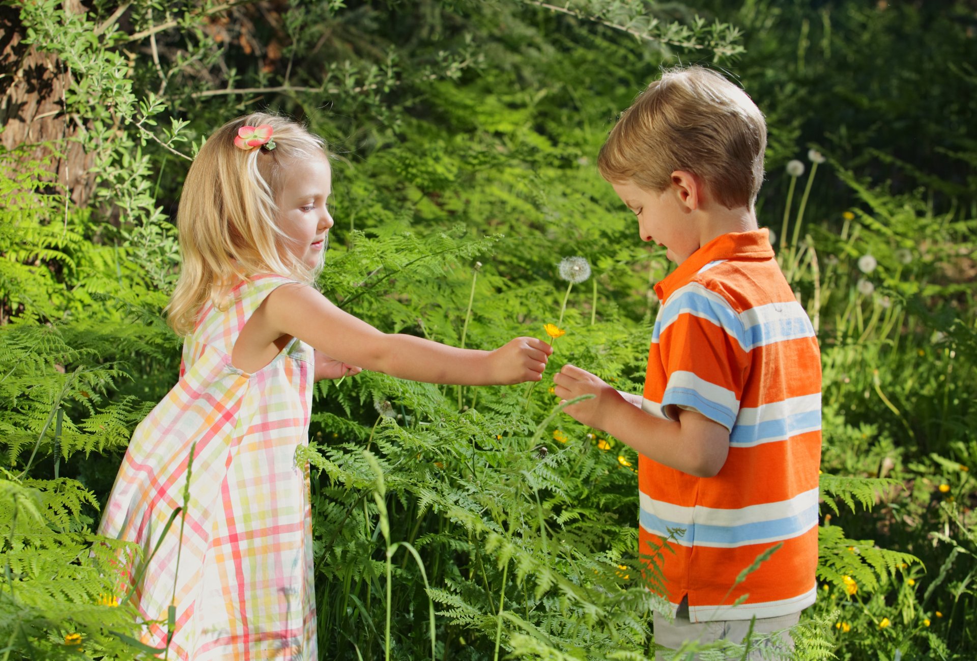 niña niño bebé niño infancia amor be my valentine novelas románticas romántico hierba crecido flor niños romance pareja rosa flor