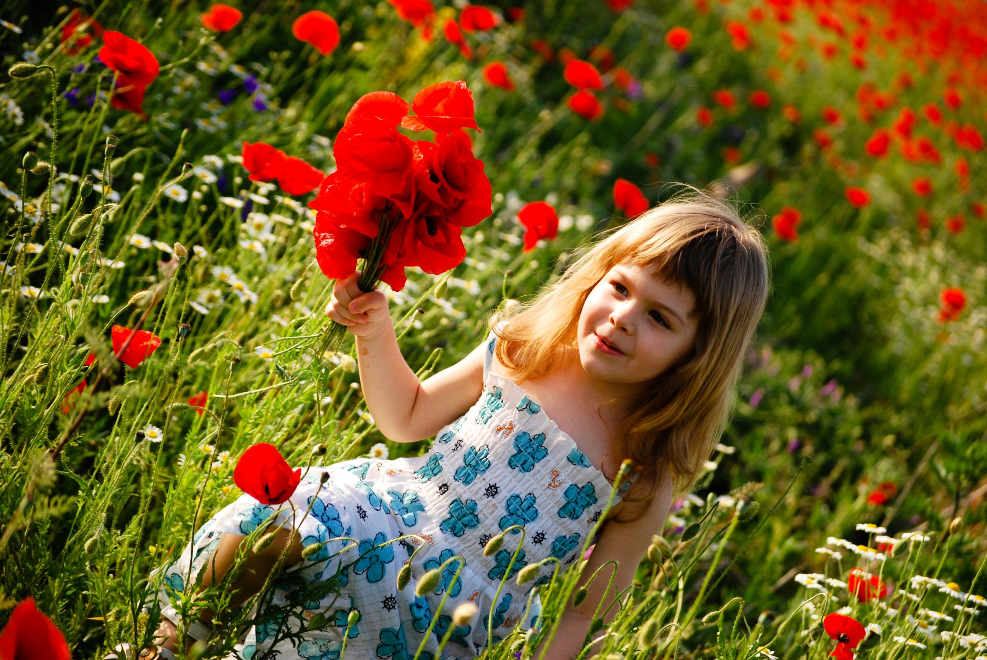 cute little girl green field flowers happiness baby childhood children