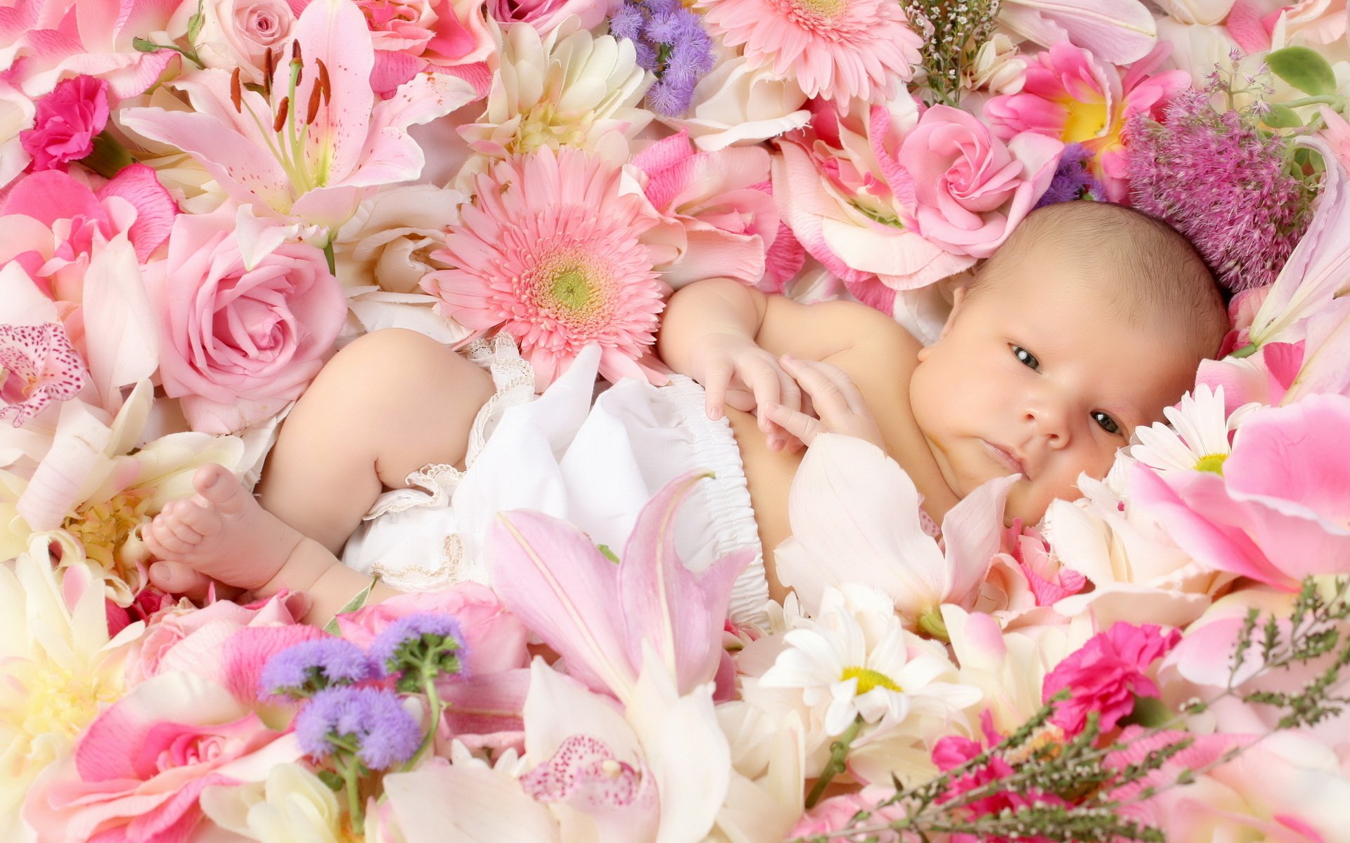 baby kids baby baby flowers roses lilies gerberas joy happiness positive