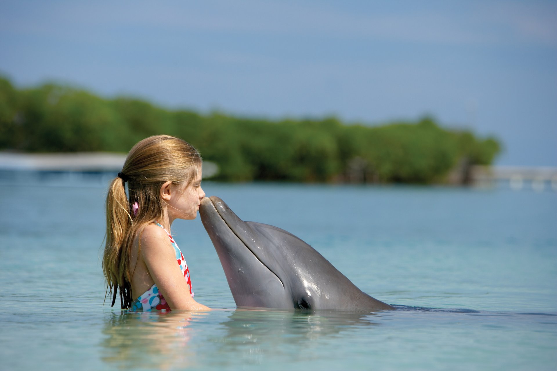 océan dauphin fille amitié enfant paradise island bahamas