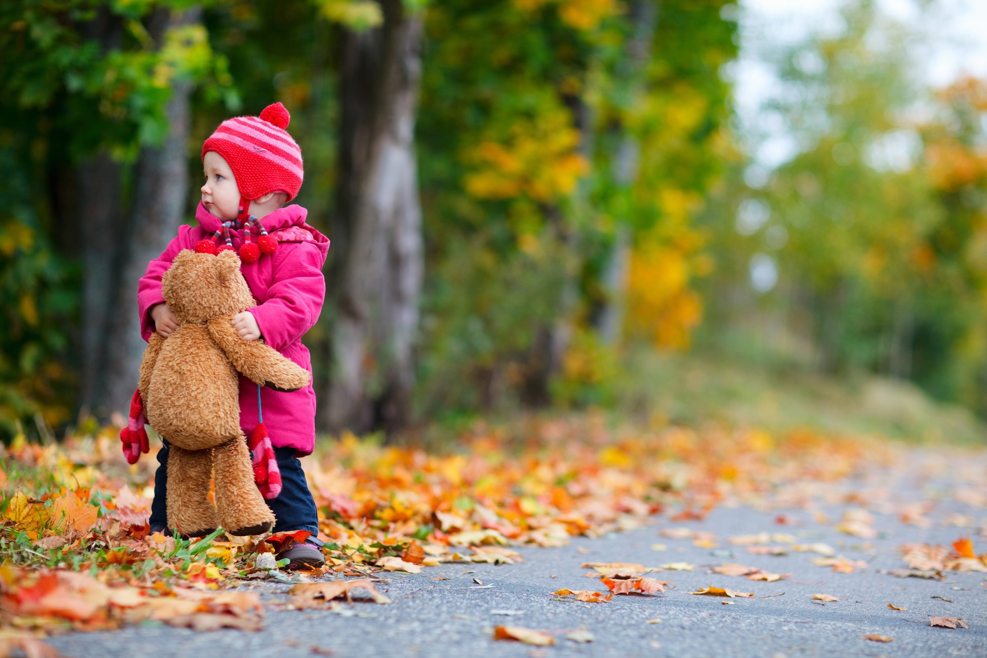 niña niño infancia árboles carretera oso de peluche otoño solitario niña niños oso de peluche solitario