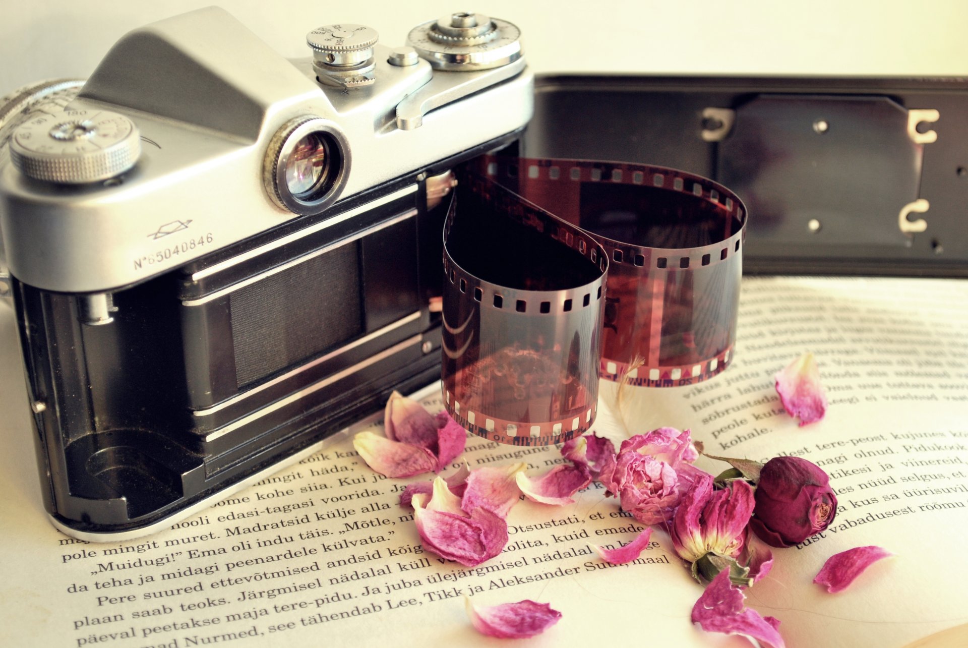 a camera the camera film book flower dry petal