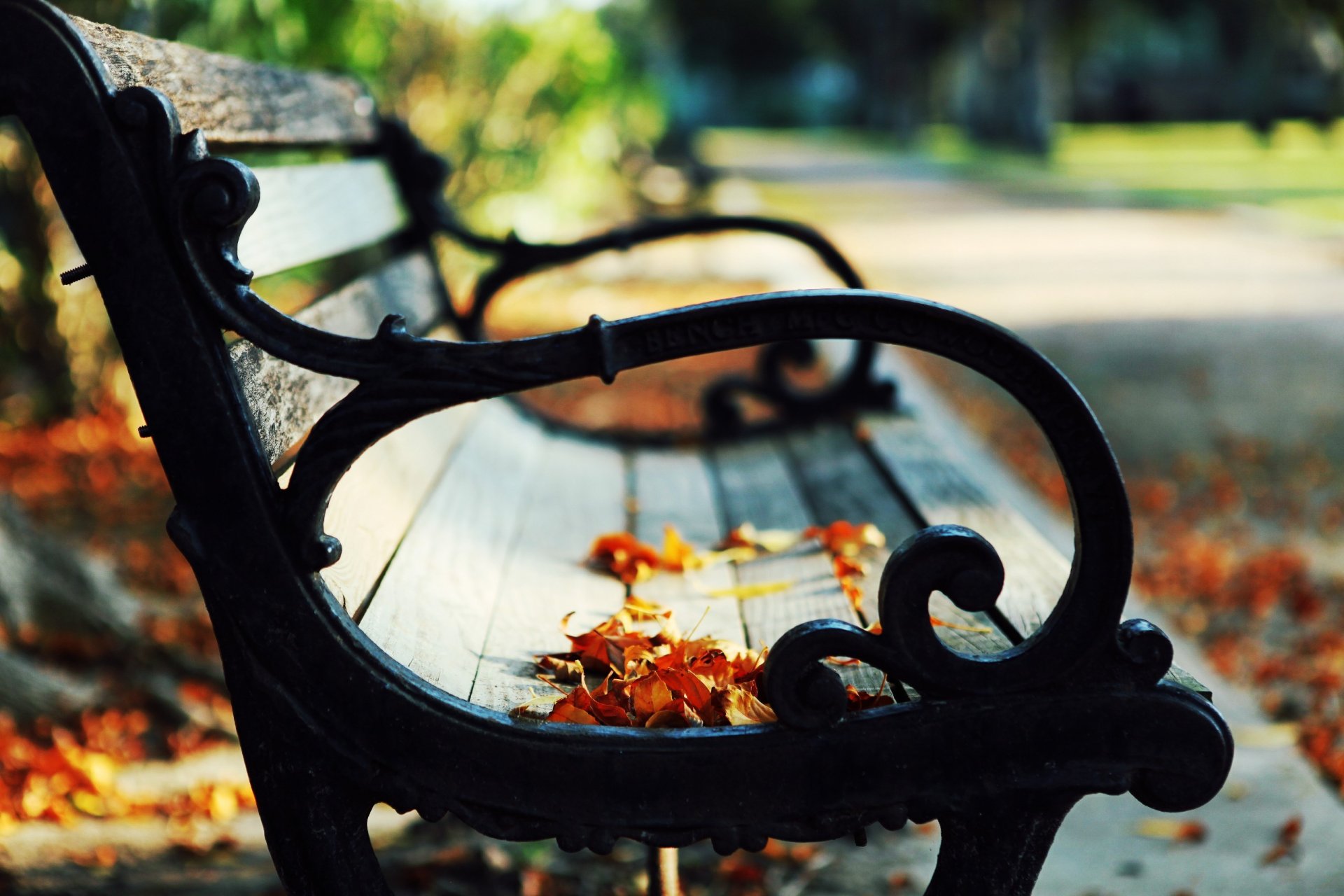 park bench leaves autumn nature