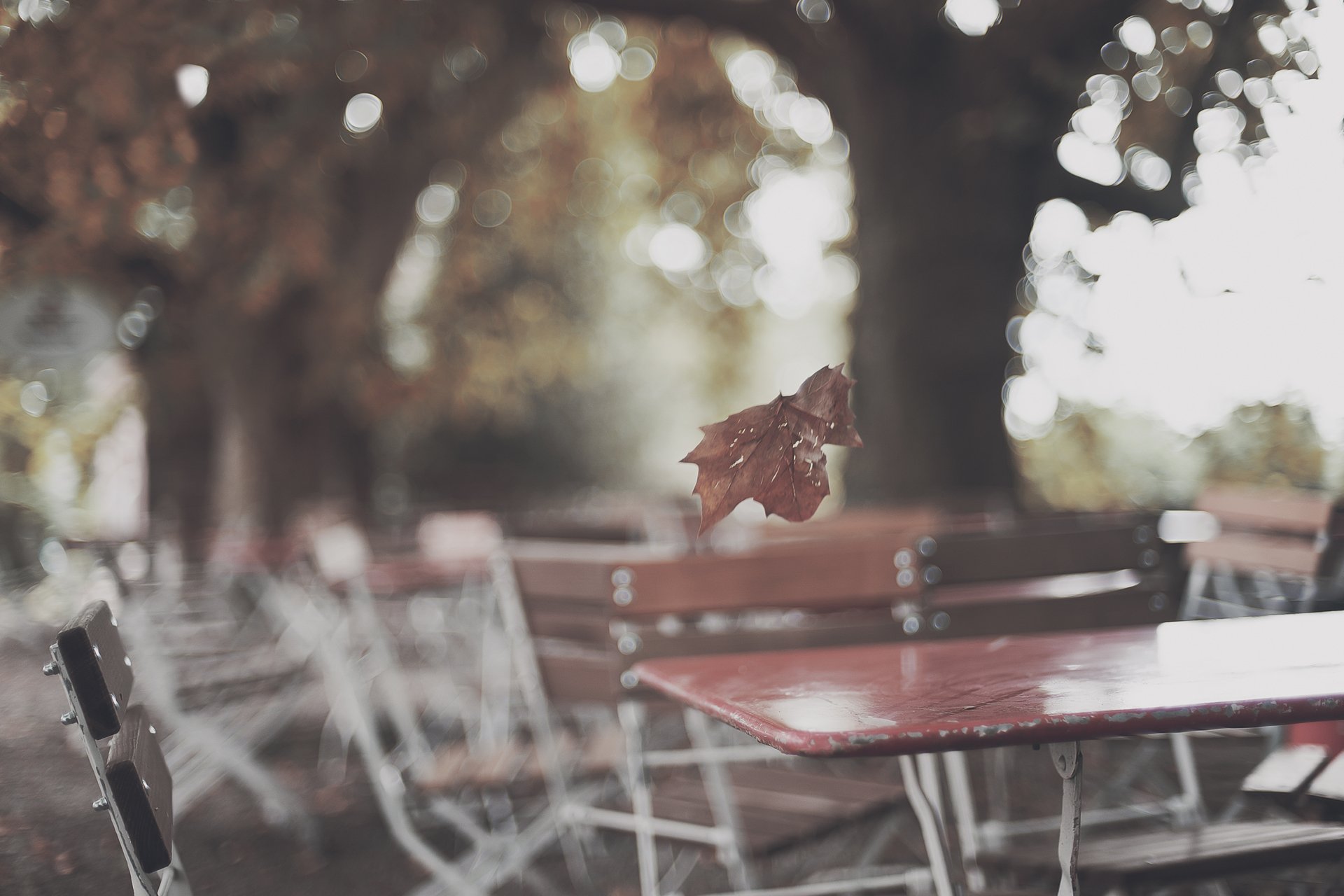 autumn park cafe tables sheet reflections tree