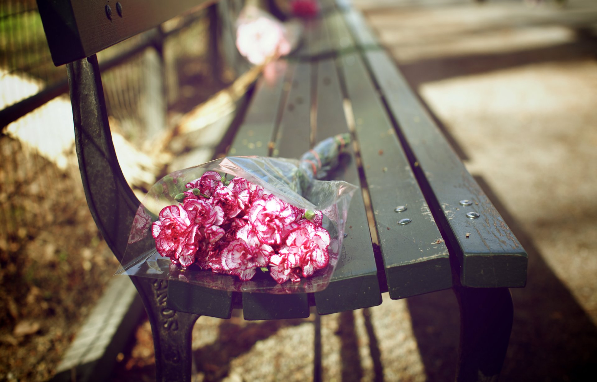 banco ramo de flores alegría ramos flores pétalos rosa brotes color parque acera cerca barras