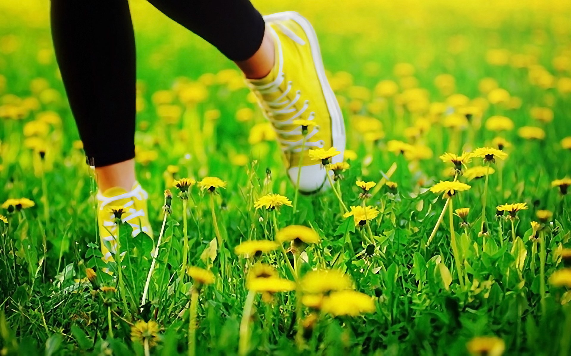 estate erba denti di leone piedi scarpe da ginnastica