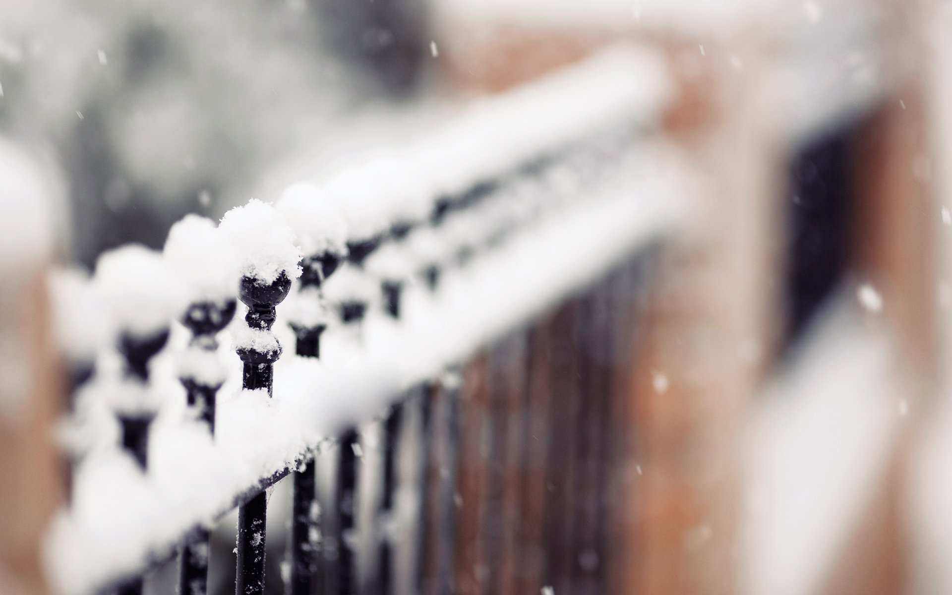 cerca seto invierno bola de nieve truco de magia copos de nieve naturaleza