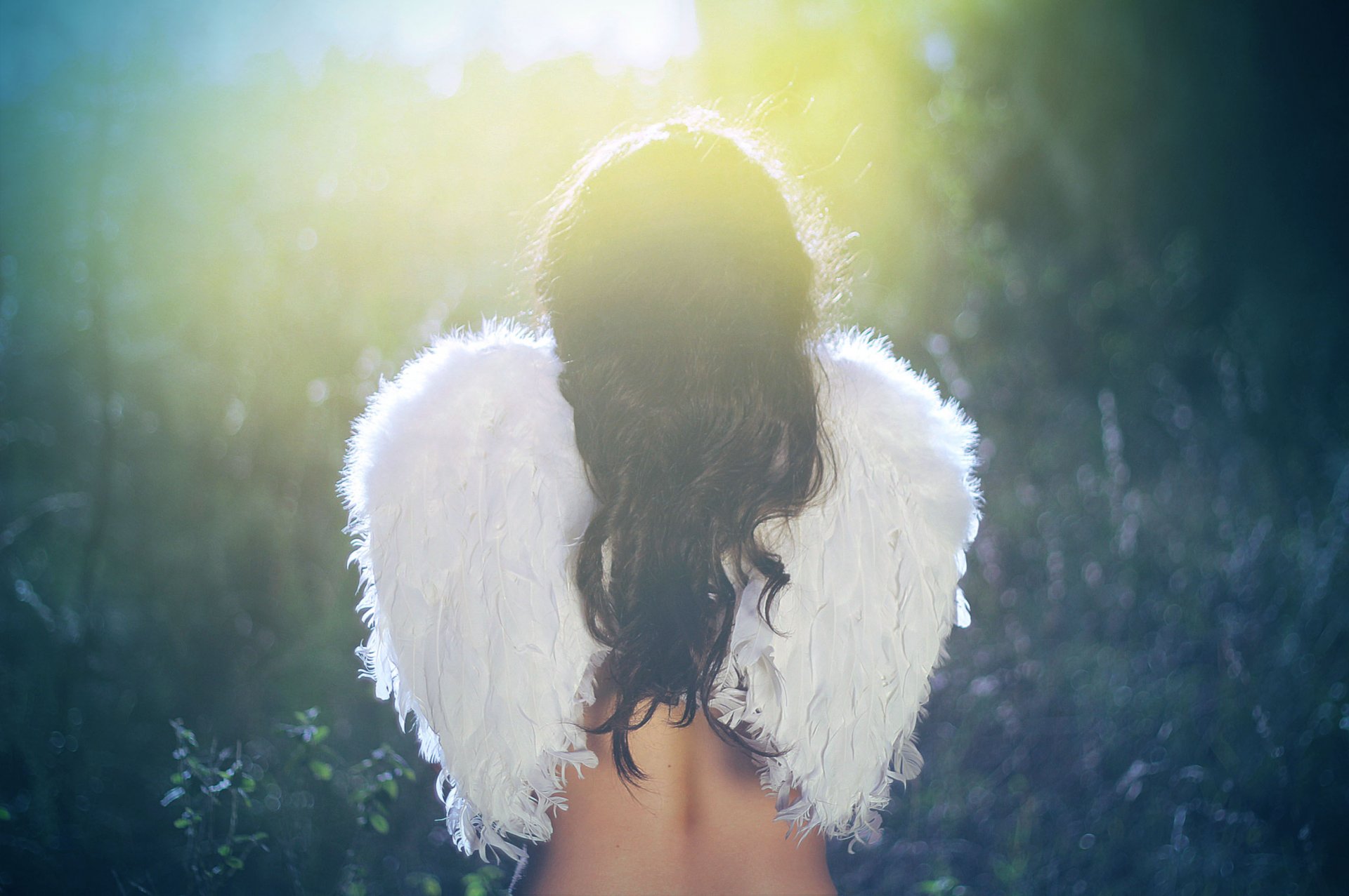 girl angel wing