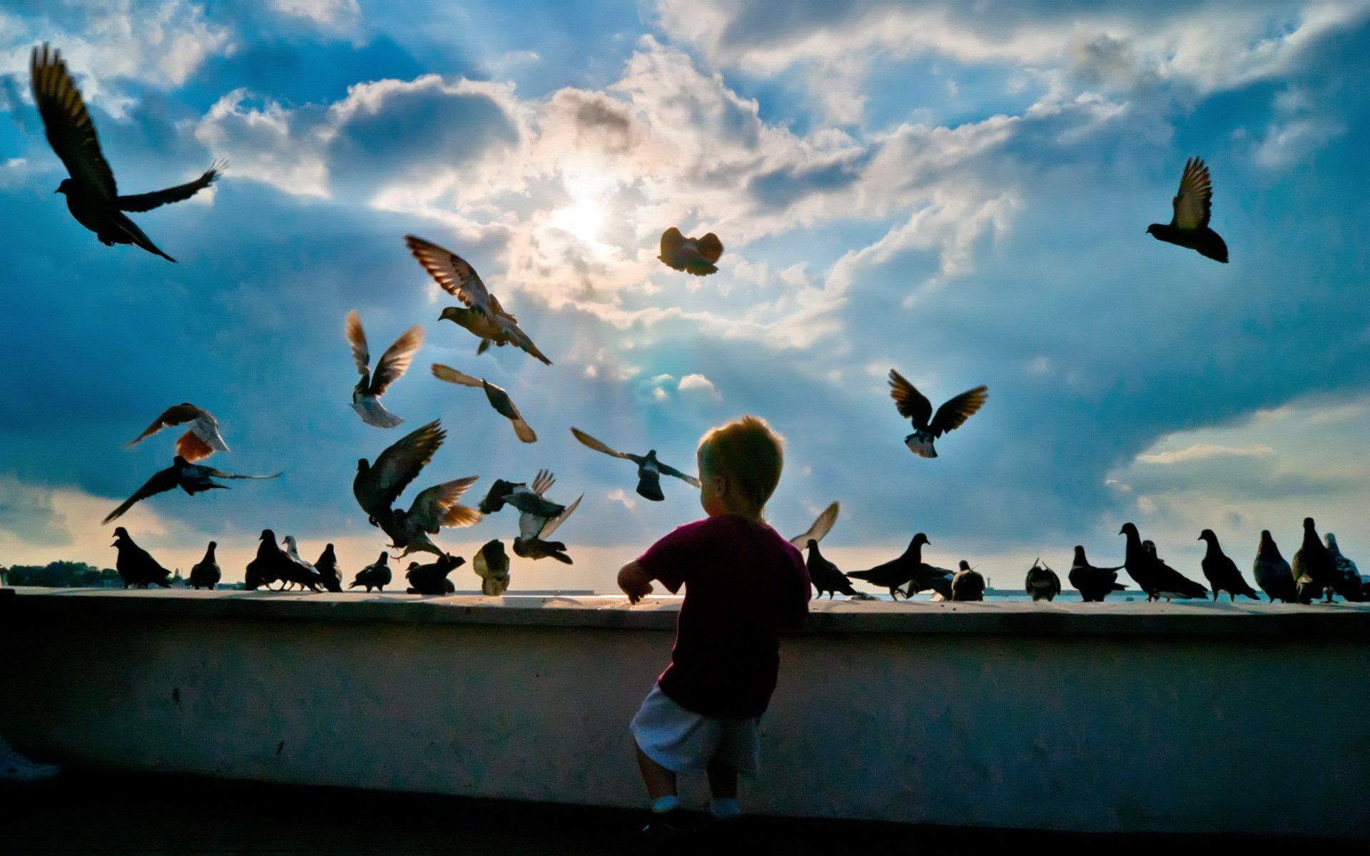 niño pájaros cielo