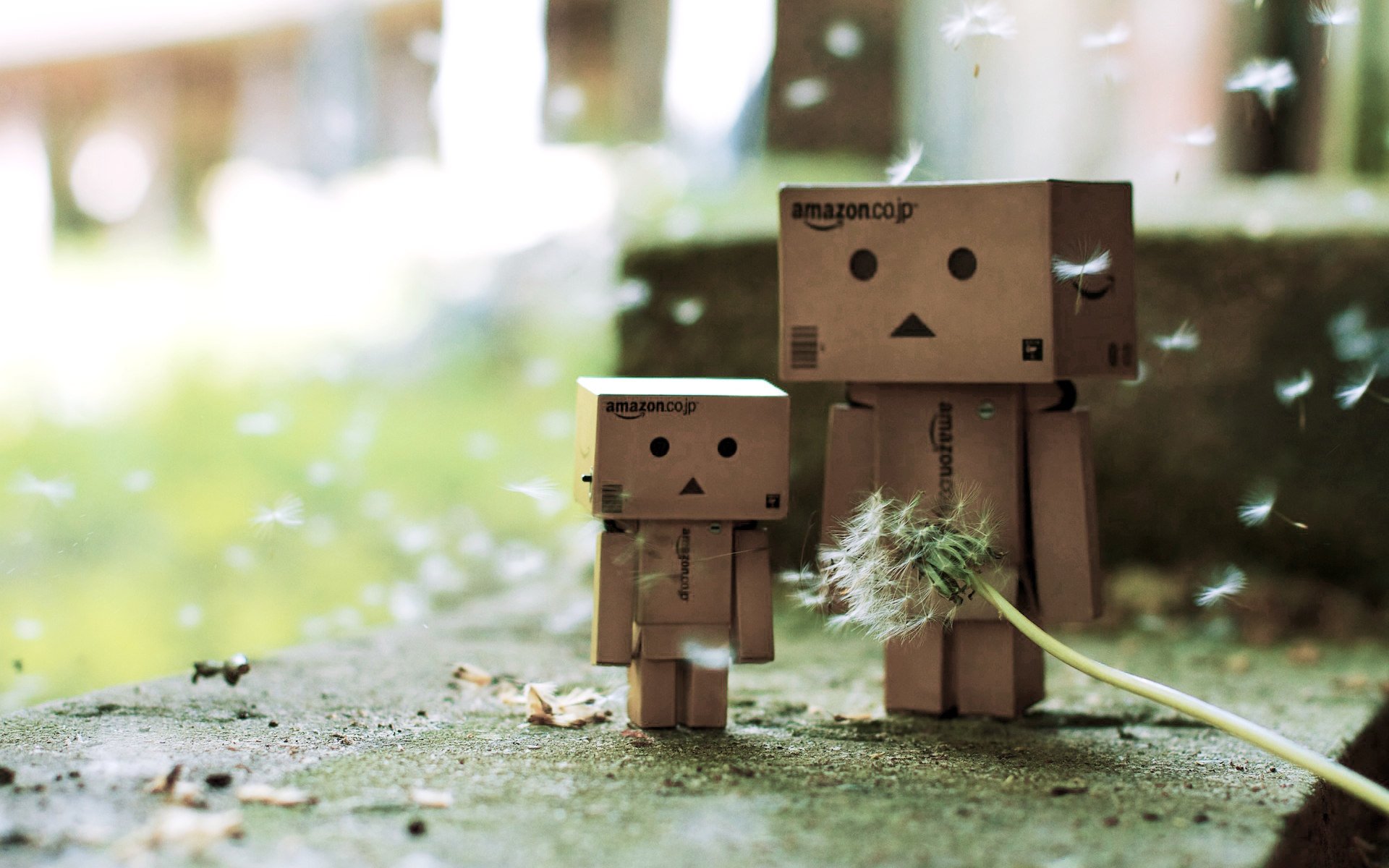 danbo danby boxes dandelion