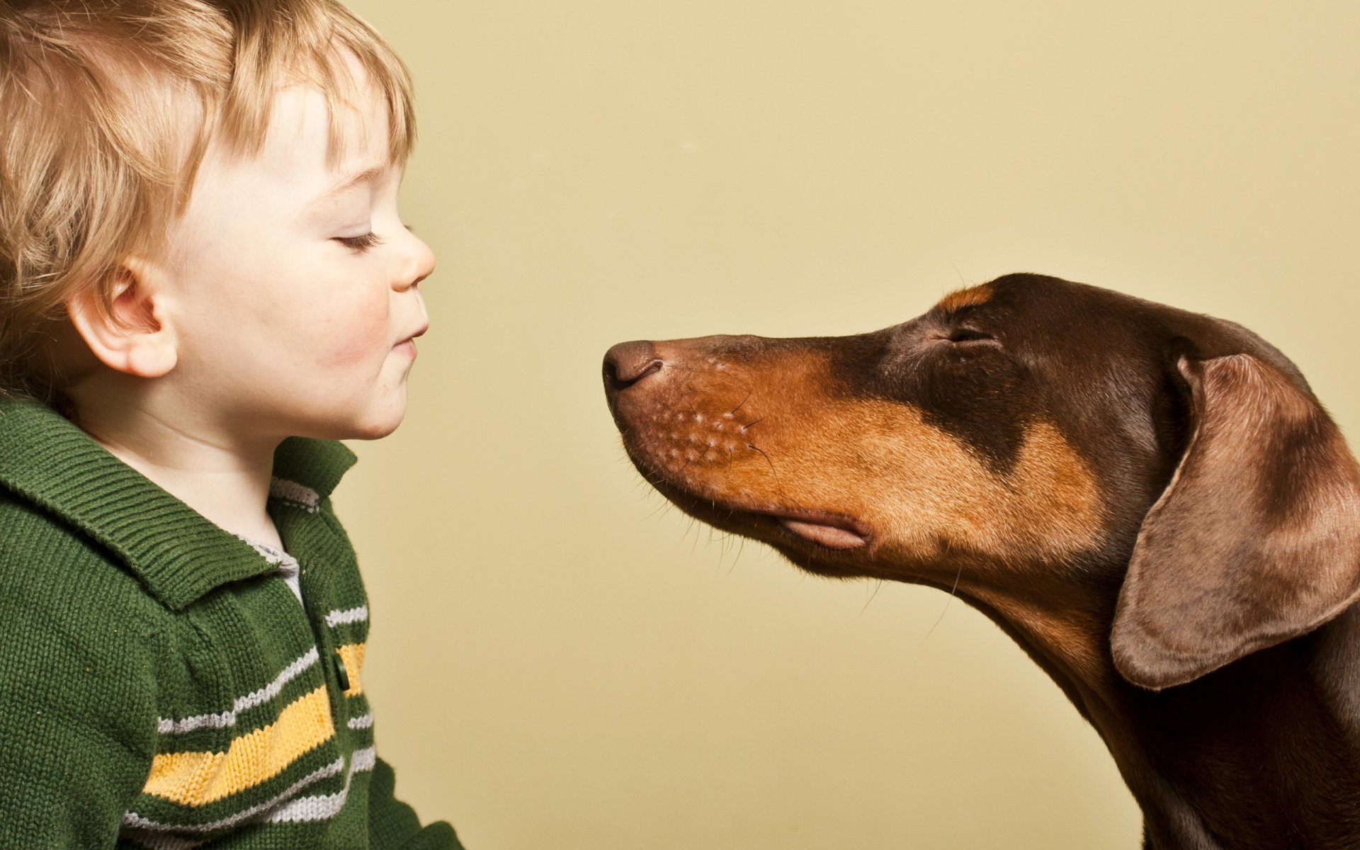 niño perro amigos estado de ánimo