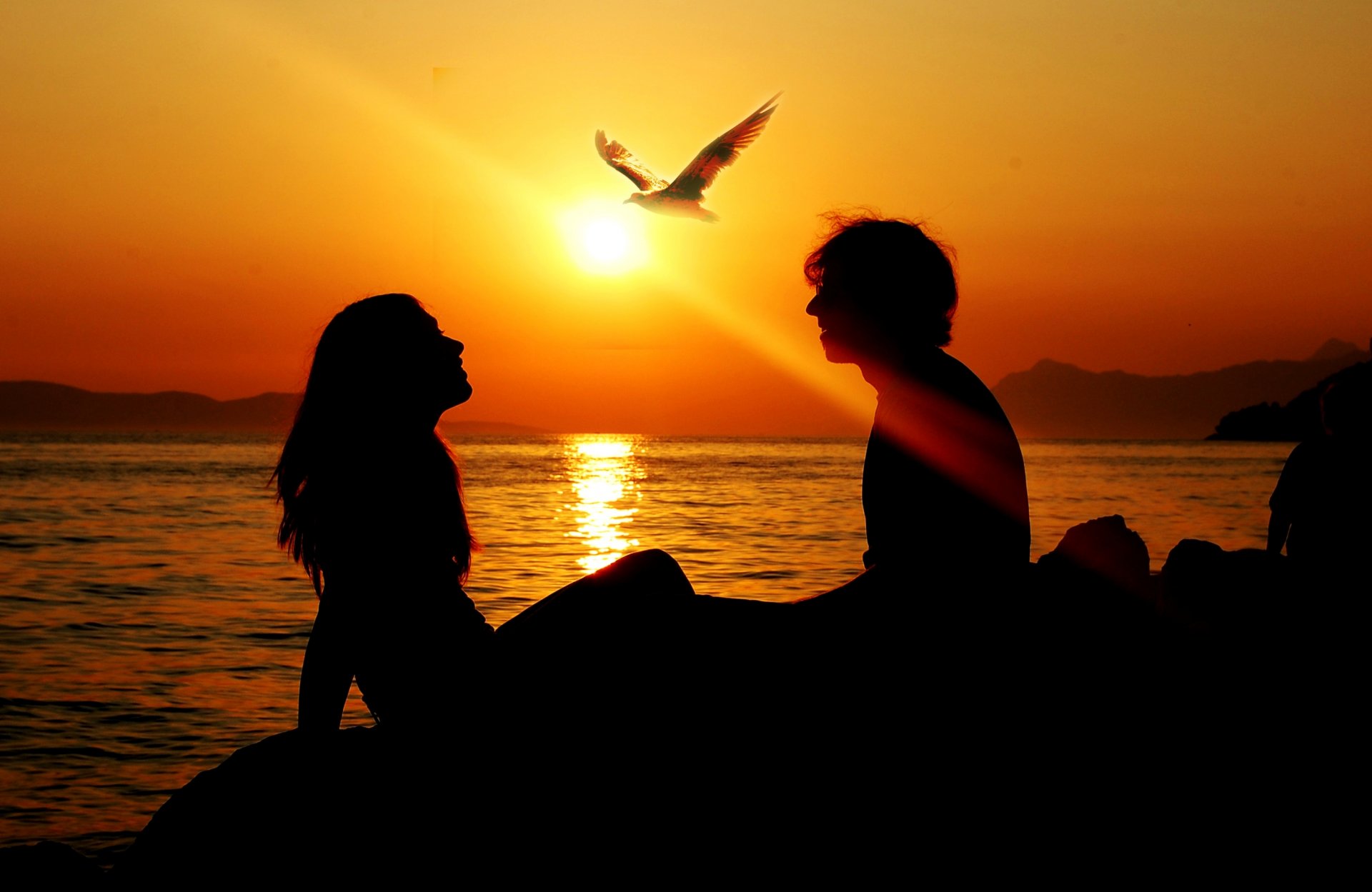 unset summer sea seagull poultry girl men silhouette sun light love freedom together8