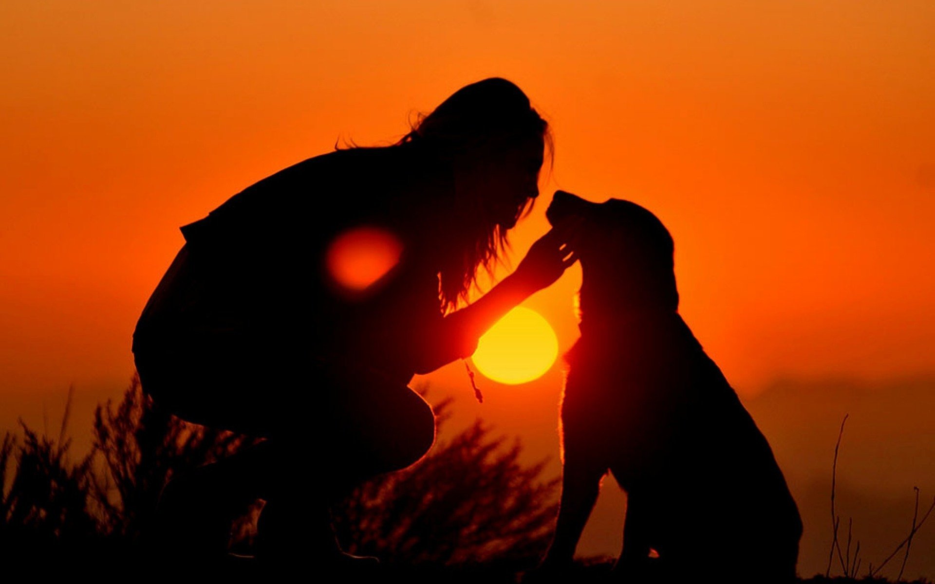 ragazza cane cielo tramonto sole sagome