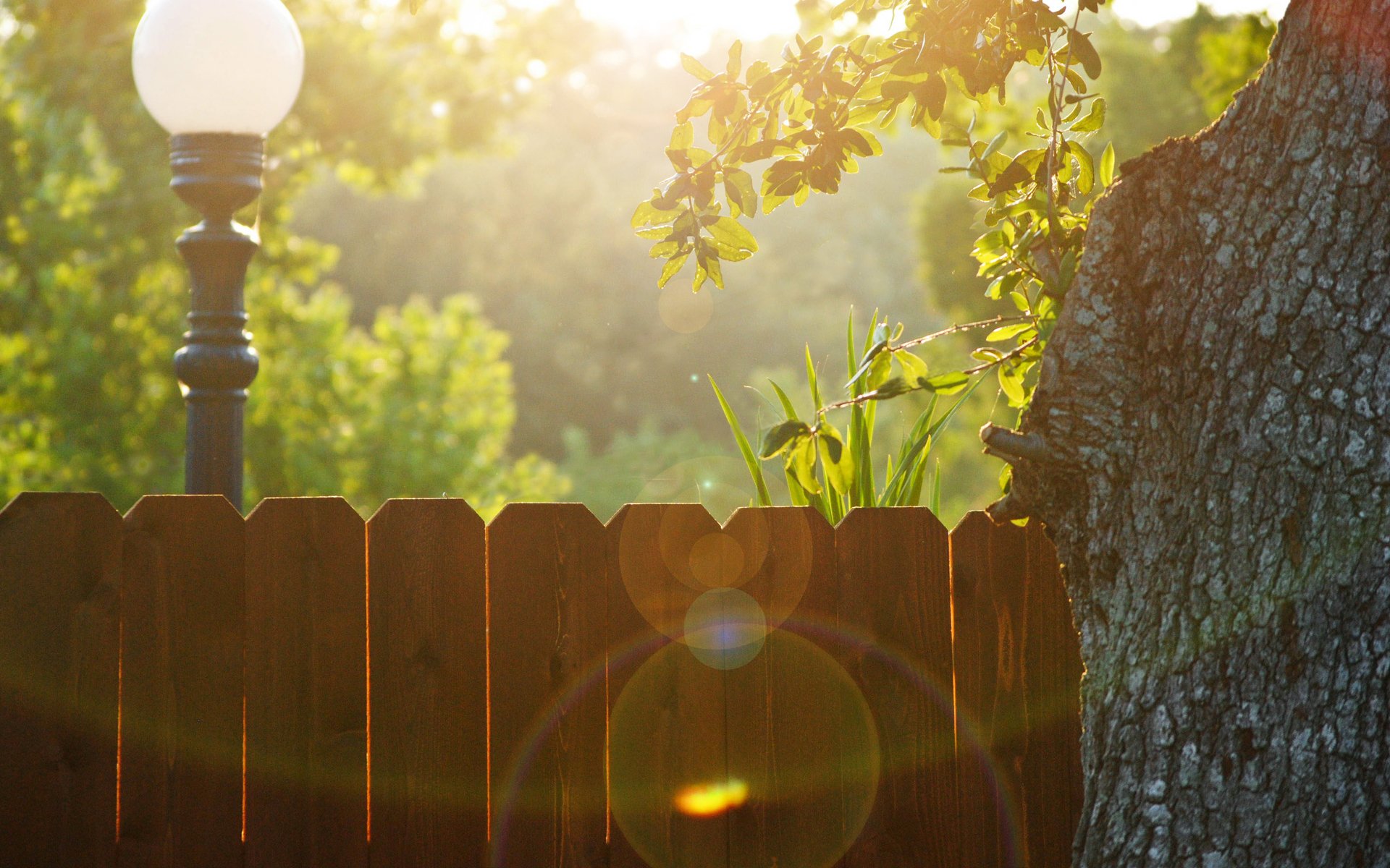 mood fences tree lantern lanterns lamps lamp lamps street streets citie