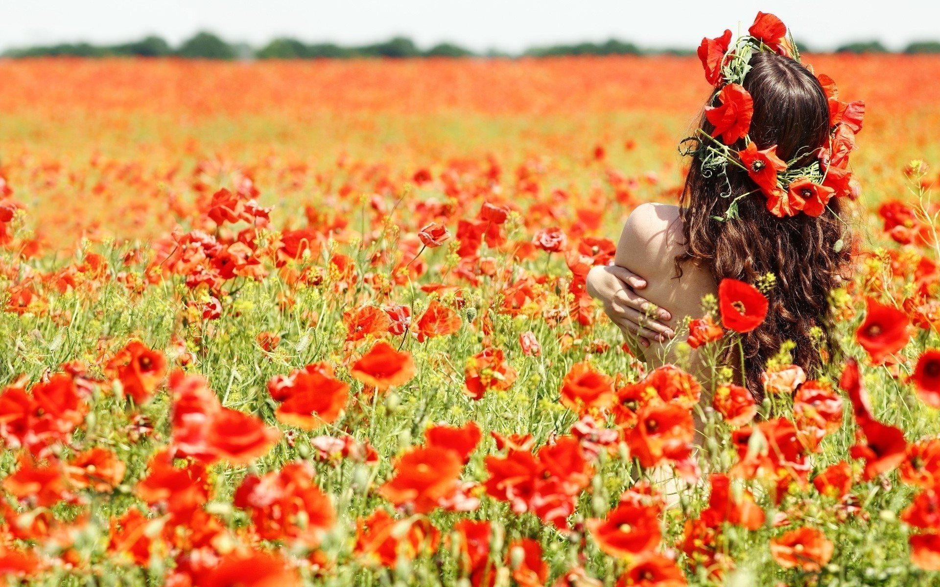 campo papaveri ragazza