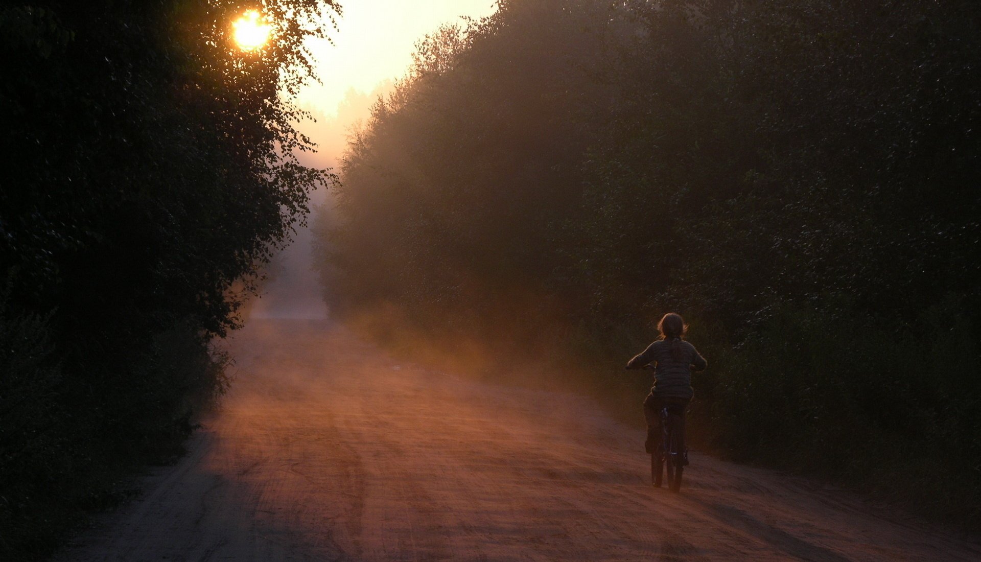 matin silence aube forêt route fille vélo