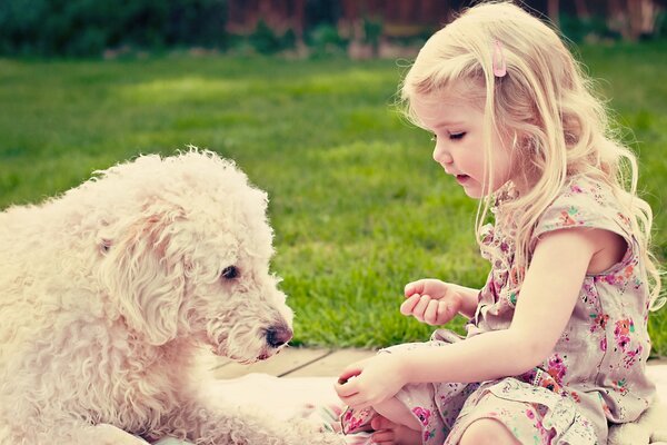 A girl communicates with a shaggy dog