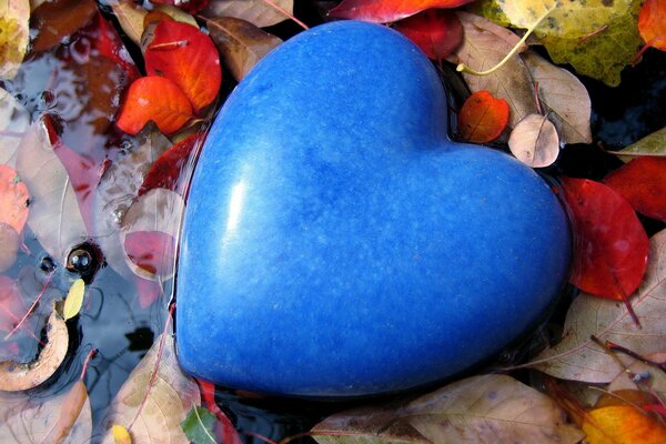 Pietra blu a forma di cuore in autunno in una pozzanghera