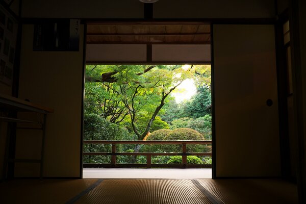 Melitation auf einem Balkon in einem ruhigen Wald