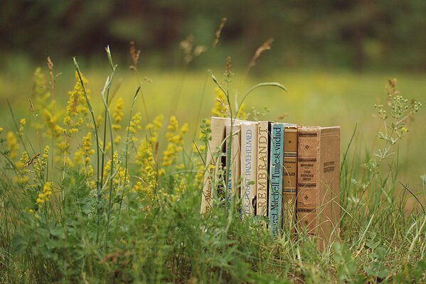 Bücher in der Natur. Ästhetik mit Bedeutung