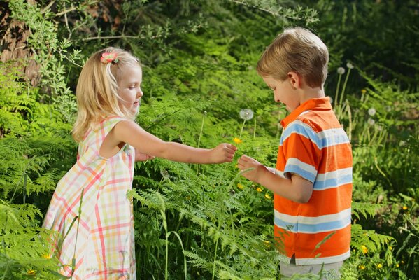 A girl gives a dandelion to a boy