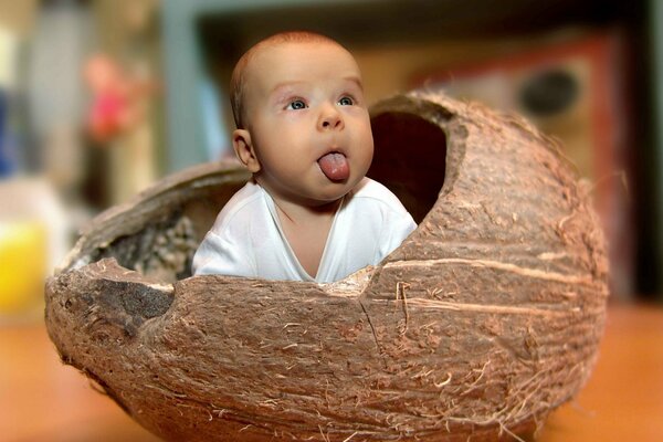 Bébé montre la langue en regardant hors de la coquille de noix de coco