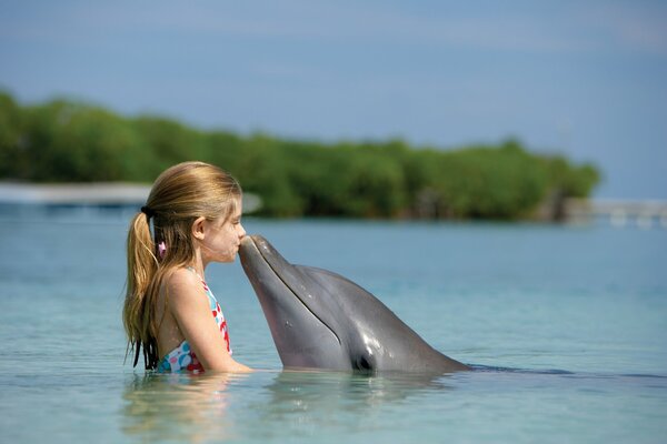 Il bambino fa amicizia con un delfino sull Isola di Paradise